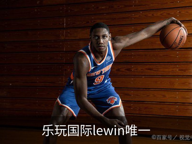 乐玩国际lewin唯一介绍