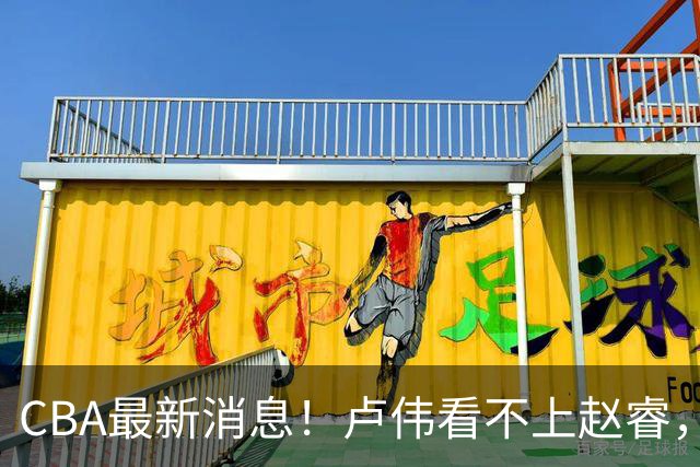 CBA最新消息！卢伟看不上赵睿，张镇麟转会费超5000万，林葳无缘国家队原因曝光