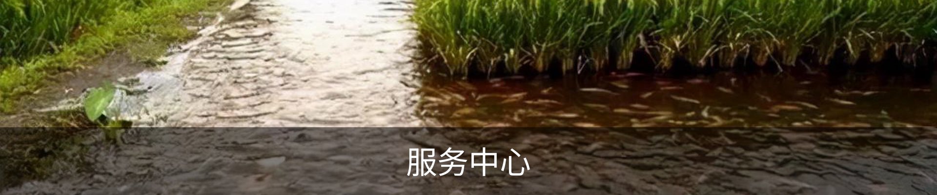 服务中心